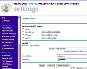 NETGEAR VPN 防火墙产品